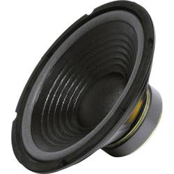 Sintron 203376 25 cm PA subwoofer 200 W 8 Ω
