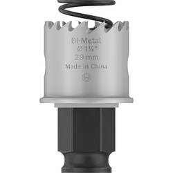 Bosch Accessories 2608594445 2608594445 vrtací korunka 29 mm silně legováno 1 ks