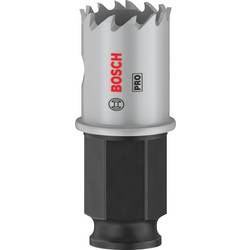 Bosch Accessories 2608594441 2608594441 vrtací korunka 21 mm Cobalt 1 ks