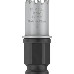 Bosch Accessories 2608594438 2608594438 vrtací korunka 17 mm Cobalt 1 ks