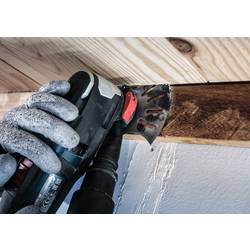 Bosch Accessories 2608669139 2608669139 bimetalový multiměřič 100 mm 1 ks