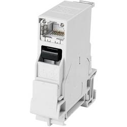 Telegärtner 100007436, RJ45 konektor, zásuvka, vestavná, počet pólů: 8P8C, světle šedá, 1 ks