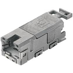 Telegärtner 100007525, RJ45 konektor, zásuvka, rovná, počet pólů: 8P8C, 1 ks