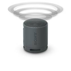 Sony SRSXB100B.CE7 Bluetooth® reproduktor hlasitý odposlech, odolná vůči stříkající vodě černá