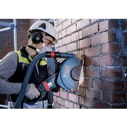 Bosch Accessories 2608901597 diamantový kotouč Průměr 125 mm 1 ks