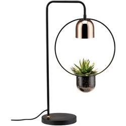 Paulmann lampa na rostliny Fanja 18 cm 230 V GU10 20 W Energetická třída (EEK2021): A (A - G) 1 ks