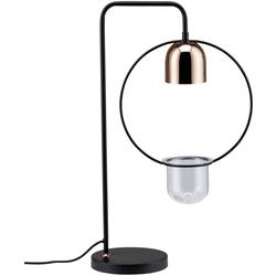 Paulmann lampa na rostliny Fanja 18 cm 230 V GU10 20 W Energetická třída (EEK2021): A (A - G) 1 ks