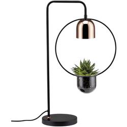Paulmann lampa na rostliny Fanja 18 cm 230 V GU10 20 W Energetická třída (EEK2021): A (A - G) 1 ks