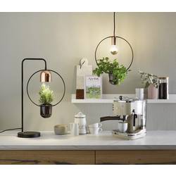 Paulmann lampa na rostliny Fanja 18 cm 230 V GU10 20 W Energetická třída (EEK2021): A (A - G) 1 ks