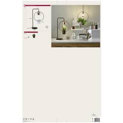 Paulmann lampa na rostliny Fanja 18 cm 230 V GU10 20 W Energetická třída (EEK2021): A (A - G) 1 ks