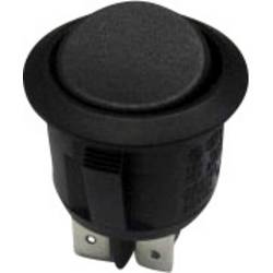 TRU COMPONENTS 1587659 kolébkový spínač TC-R13-244C-02 250 V/AC 10 A 2x zap/zap s aretací 1 ks