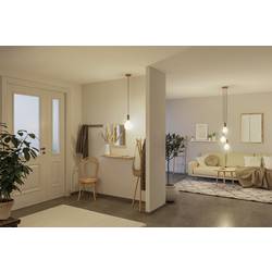 Paulmann 29077 LED Energetická třída (EEK2021) F (A - G) E27 Kulové svítidlo lampionové 4.3 W teplá bílá (Ø x v) 125 mm x 175 mm 1 ks