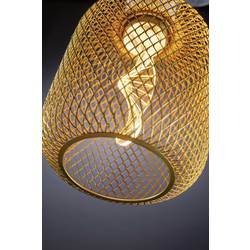 Paulmann 29084 LED E27 Válcové svítidlo se šroubovicí 3.5 W zlatá (Ø x v) 100 mm x 162 mm 1 ks