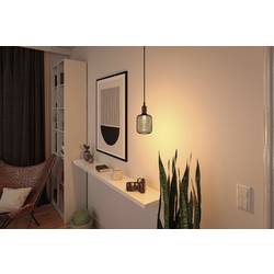 Paulmann 29082 LED E27 Válcové svítidlo se šroubovicí 3.5 W zlatá (Ø x v) 100 mm x 162 mm 1 ks