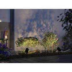 Paulmann Plug & Shine Shira 94849 Osvětlovací systém Plug&Shine ZigBee LED zahradní reflektor LED 6.5 W RGBW antracitová