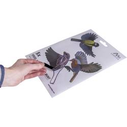 Gardigo Stickers Native Birds, 60086, nálepka do okna s obrazem ptáka 1 ks, funkce: odstrašení