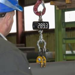 PCE Instruments PCE-CS 300LD jeřábová váha PCE-CS 300LD Max. váživost 300 kg na baterii černá