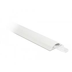 Delock Kabelová lišta PVC bílá (d x š x v) 1 m x 30 mm x 8 mm 1 ks 20704