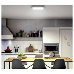 Philips Hue LED panel 8720169328976 LED 19 W teplá až studená bílá
