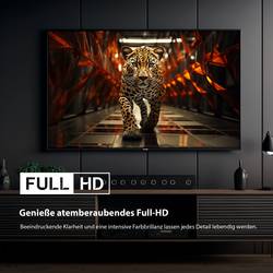 Dyon Ultimax 40F-TI LED TV, 100 cm 40 palec, F (A - G), černá