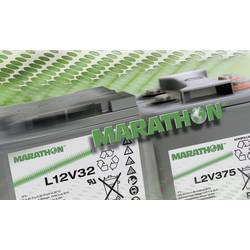 GNB Marathon XL12V50 NAXL120050HM0FA olověný akumulátor 12 V 50.4 Ah olověný se skelným rounem (š x v x h) 220 x 219 x 172 mm šroubované M6 bezúdržbové