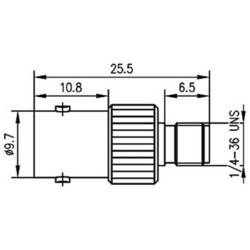 Telegärtner 100023639 100023639 BNC adaptér BNC zásuvka - SMA zásuvka 1 ks