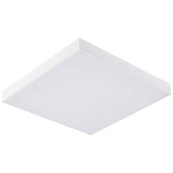 Paulmann Velora Rainbow 79904 LED stropní svítidlo 13.20 W teplá bílá bílá