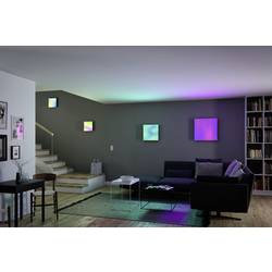 Paulmann Velora Rainbow 79904 LED stropní svítidlo 13.20 W teplá bílá bílá