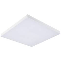 Paulmann Velora Rainbow 79905 LED stropní svítidlo 19.00 W teplá bílá bílá