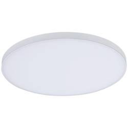 Paulmann Velora 79891 LED stropní svítidlo teplá bílá bílá