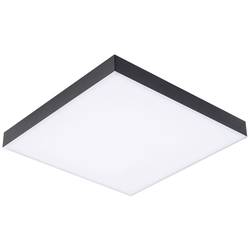 Paulmann Velora Rainbow 79907 LED stropní svítidlo teplá bílá černá