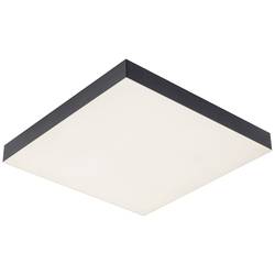 Paulmann Velora Rainbow 79907 LED stropní svítidlo teplá bílá černá