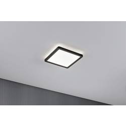 Paulmann Atria Shine 71014 LED stropní svítidlo 12 W neutrální bílá černá