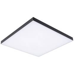 Paulmann Velora Rainbow 79908 LED stropní svítidlo teplá bílá černá
