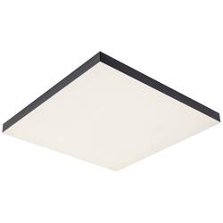 Paulmann Velora Rainbow 79908 LED stropní svítidlo teplá bílá černá