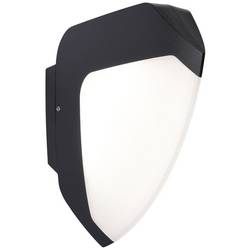 Paulmann 94517 venkovní nástěnné LED osvětlení LED 4 W antracitová