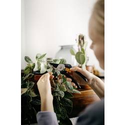 Fiskars 1057160 Solid™ P121 zahradní nůžky 192 mm