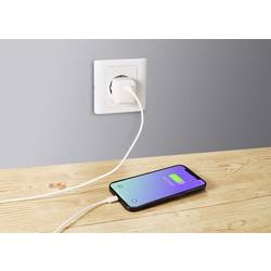 Renkforce USB kabel USB 2.0 USB-C ® zástrčka, Apple Lightning konektor 1.00 m bílá RF-6857550