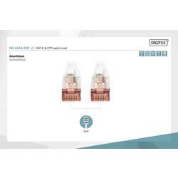 Digitus DK-1644-300 RJ45 síťové kabely, propojovací kabely CAT 6 S/FTP 30.00 m šedá 1 ks
