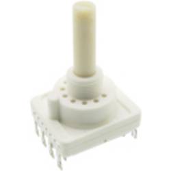 C & K Switches RTAP31S10WFLSS otočný spínač 60 V, 60 V/DC 150 mA Počet pozic přepínače 10 1 x 30 ° 1 ks