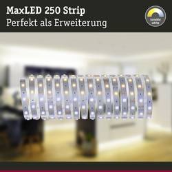 Paulmann 79863 LED pásek konektor 24 V 5 m teplá bílá 5 m