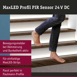 Paulmann 79841 79841 Infračervený spínač s detektorem pohybu 144 W (max) 24 (max.) 24 V (š x v) 56.50 mm x 16.00 mm 1 ks