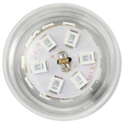 TRU COMPONENTS TC-14124712 indikační LED zelená Válec BA15d 100 V/AC, 240 V/AC 500 lm