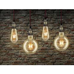 Paulmann 28403 LED E27 kulatý tvar 6.5 W = 37 W zlatá (Ø x v) 125 mm x 175 mm 1 ks