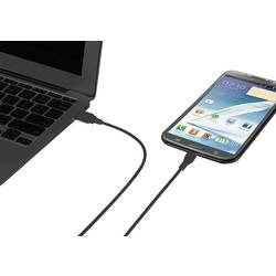 USB 2.0 Renkforce RF-4316220, 1.00 m, černá