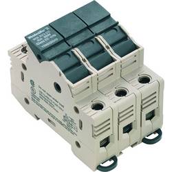 W-Series, Fuse terminal, Rated cross-section: 25 mm², Screw connection, WSI 25/3 CC 1966030000 Tmavě béžová Weidmüller 4 ks