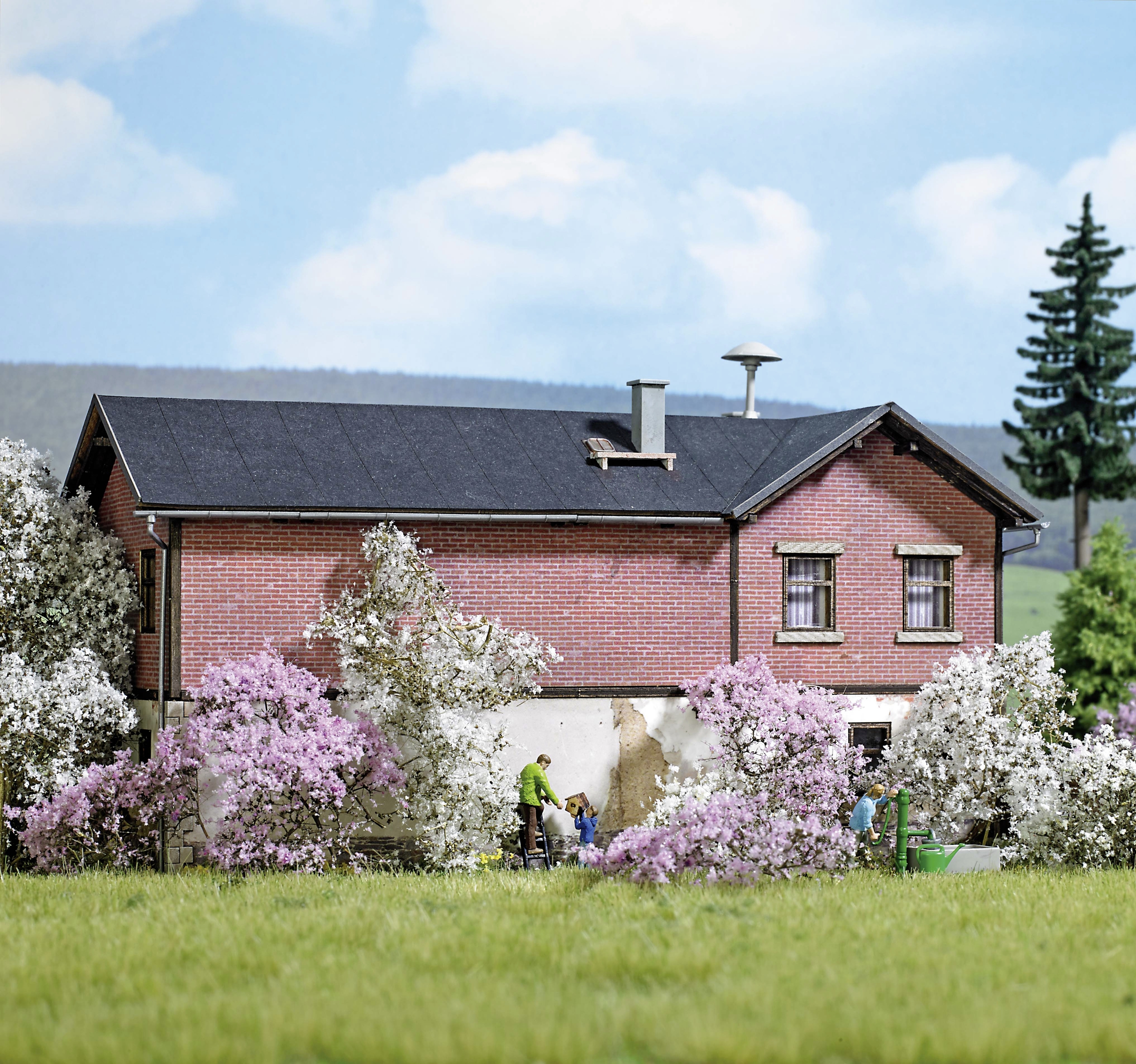 Busch 3585 kařík jaro bílá, rozkvetlé květy