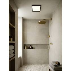 Nordlux 2015066103 Oja Square 29 LED stropní svítidlo LED LED 14.5 W černá
