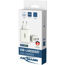 Ansmann HomeCharger HC430 1001-0113 USB nabíječka vnitřní Výstupní proud (max.) 6000 mA 4 x 4x USB A