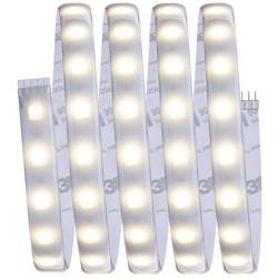 Paulmann 78871 LED pásek základní sada konektor 230 V 1.5 m teplá bílá 1 sada